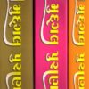 Shri Mudgal Puranam Sanskrit text with Gujarati Translation (Set of 3 Vols.)