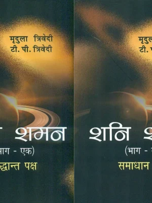 shani shaman paperback