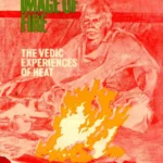 In the Image of Fire: The Vedic Experience of Heat by David Knipe