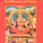 Devi Goddesses of India by John Stratton Hawley