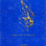 SRIMADBHAGAWADGITA (Text with English Translation) - S.N. RAINA
