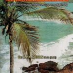 Vol -VIII MUSIKAVAMSAM MAHAKAVYAM
