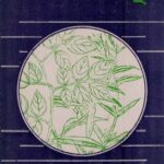 वन्यरत्नम्- Vanya Ratnam