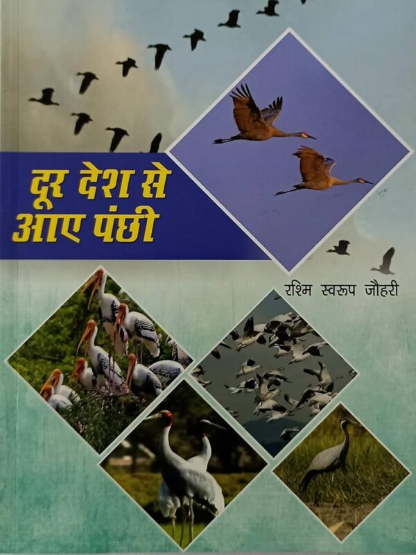 door desh se aaye panchhi
