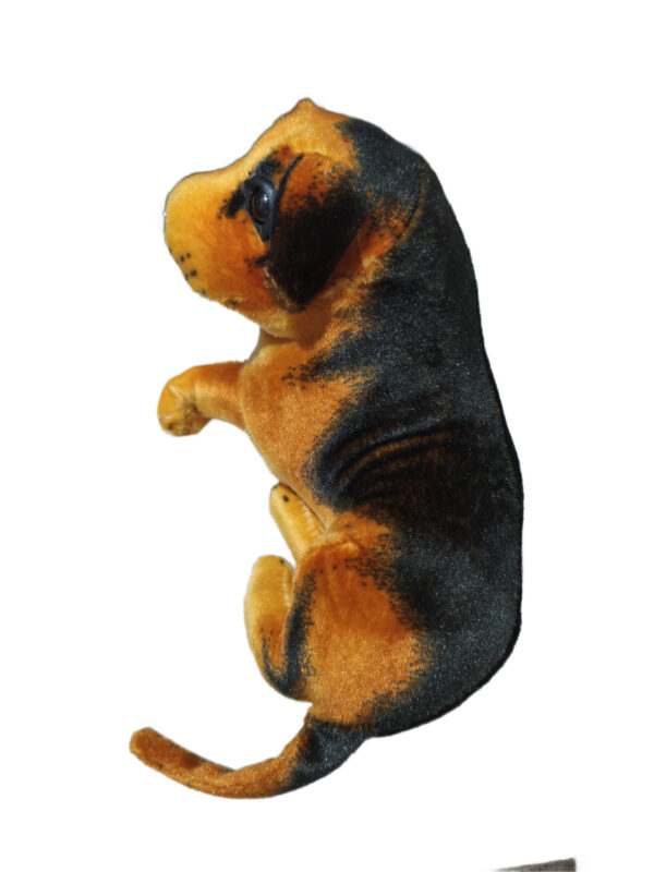 Cute Brown & Black Dog Soft Toy – Plush Puppy Stuffed Animal for Kids and Dog Lovers (25 cm)