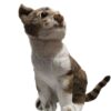Realistic Cat Plush Toy