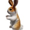 Adorable Standing Rabbit Soft Toy – Brown & White Plush Bunny for Kids and Gifting (30 cm)