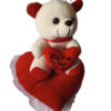 Plush Teddy Bear with Heart Cushion – "You're My Best Friend"