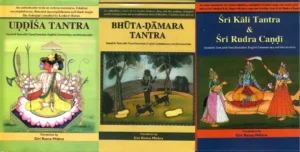 vuzpfiUqamV65wh6McSfMccheYuJP2gvWyGVrZv1 Authentic Translation of Three Important Tantra Texts into English by Shri Giri Ratna Mishra (Uddish, Bhuta Damar, Sri Kali Tantra & Sri Rudra Chandi Tantra)